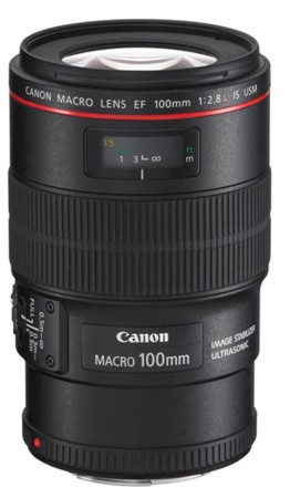 Canon EF 100mm f/2.8L Macro IS USM 