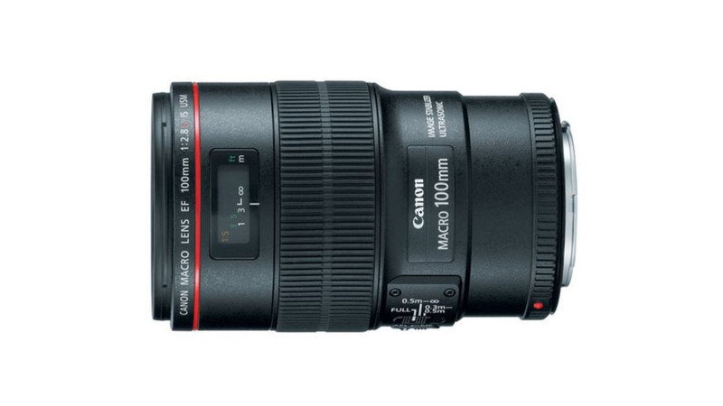 Canon 100 macro lens 