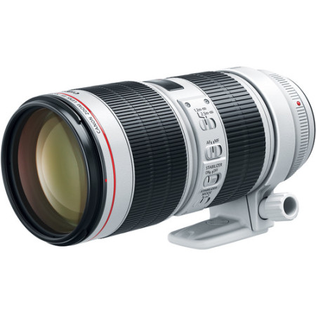 Canon EF 70-200mm Ultra Sonic 