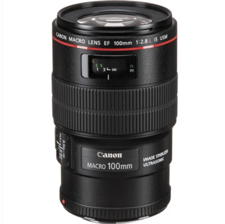 Canon EF 100mm f/2.8L Macro IS 
