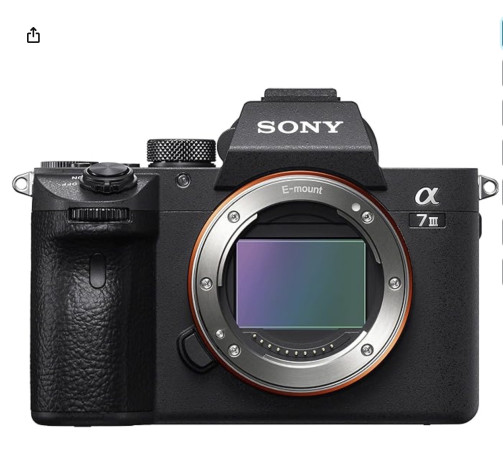 Sony Alpha A7 III - Mirrorless Camera 